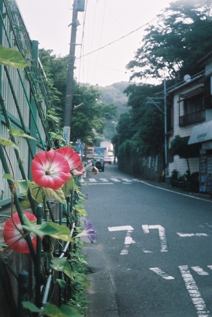 夏休み