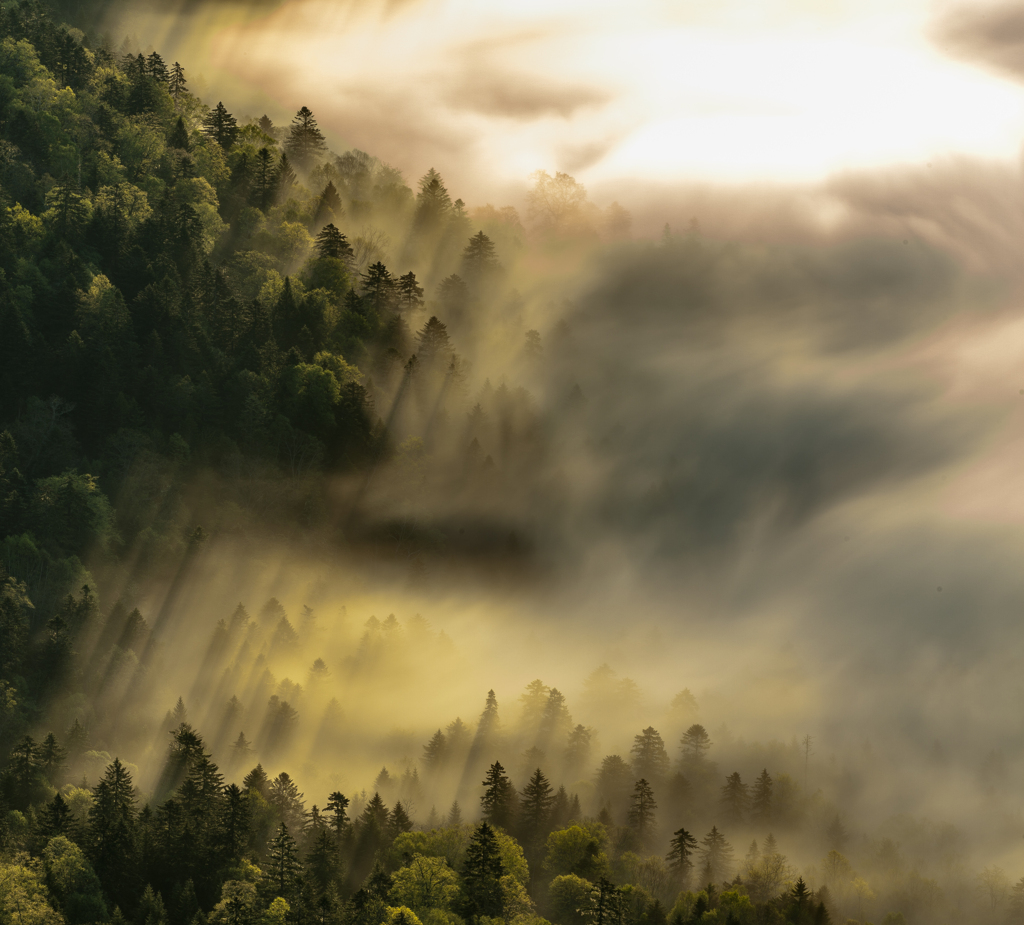 雲上の幻影