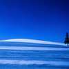 MoonLight Hill