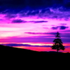 過ぎ去りし夕景