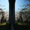 シンメトリー