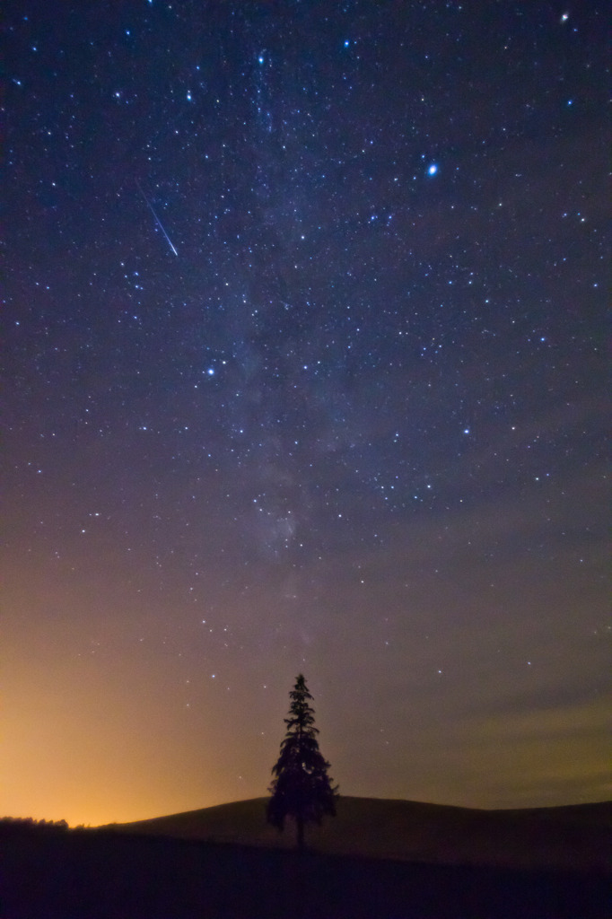 クリスマスツリーと流星
