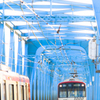 電車で紅（こう）！