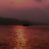 太陽SUN