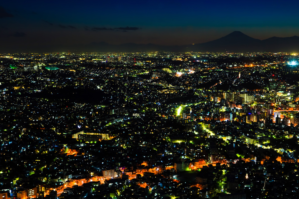 富士山、見ＮＩＧＨＴね！