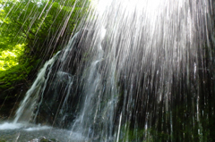 タッキーの気持ち