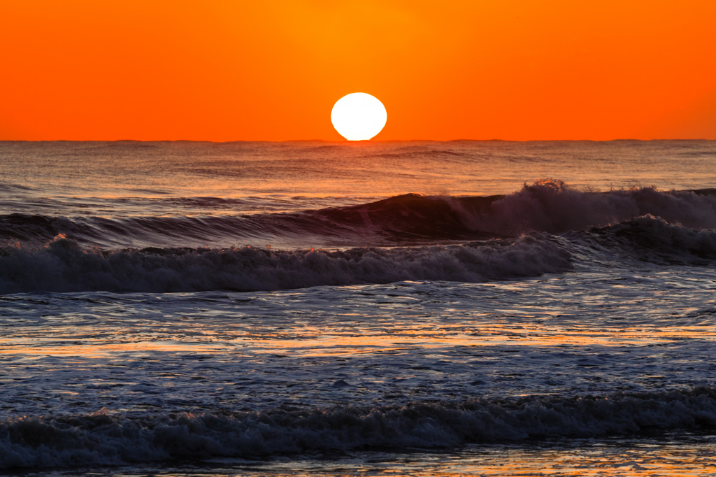 なみのオッＳＵＮ