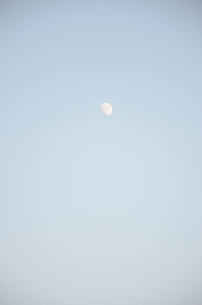 Mon pale
