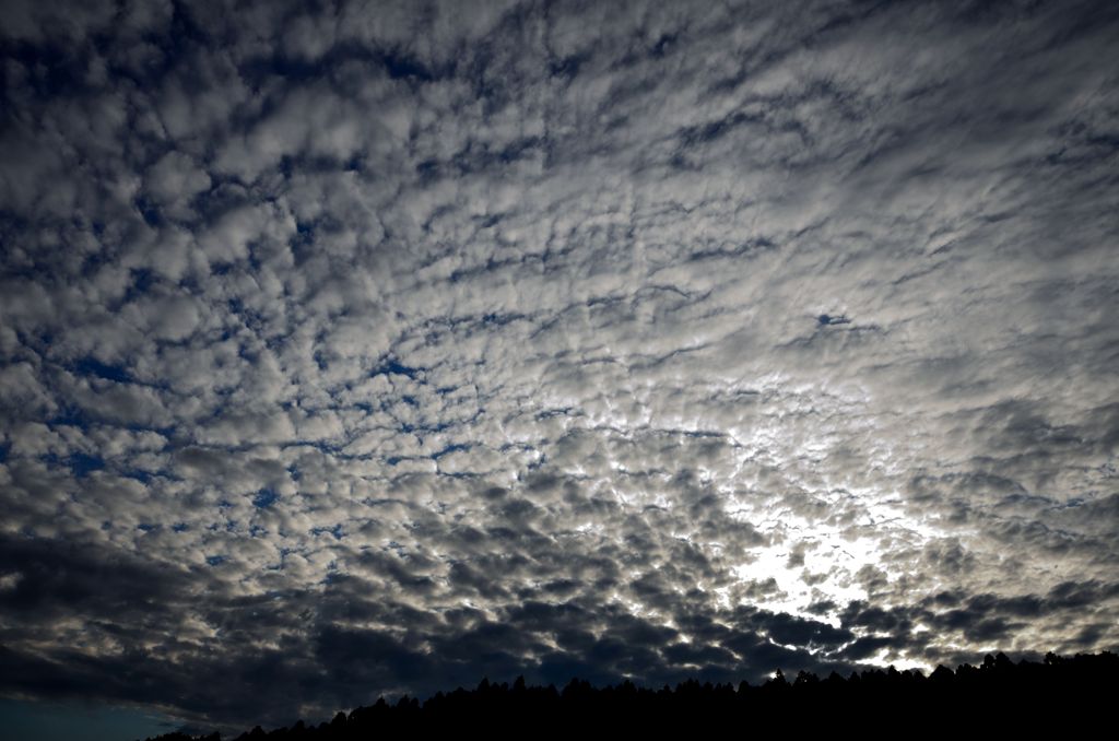 鱗雲