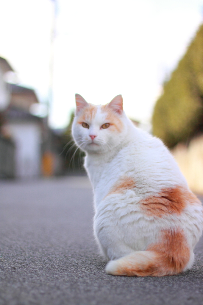 呼んだ？