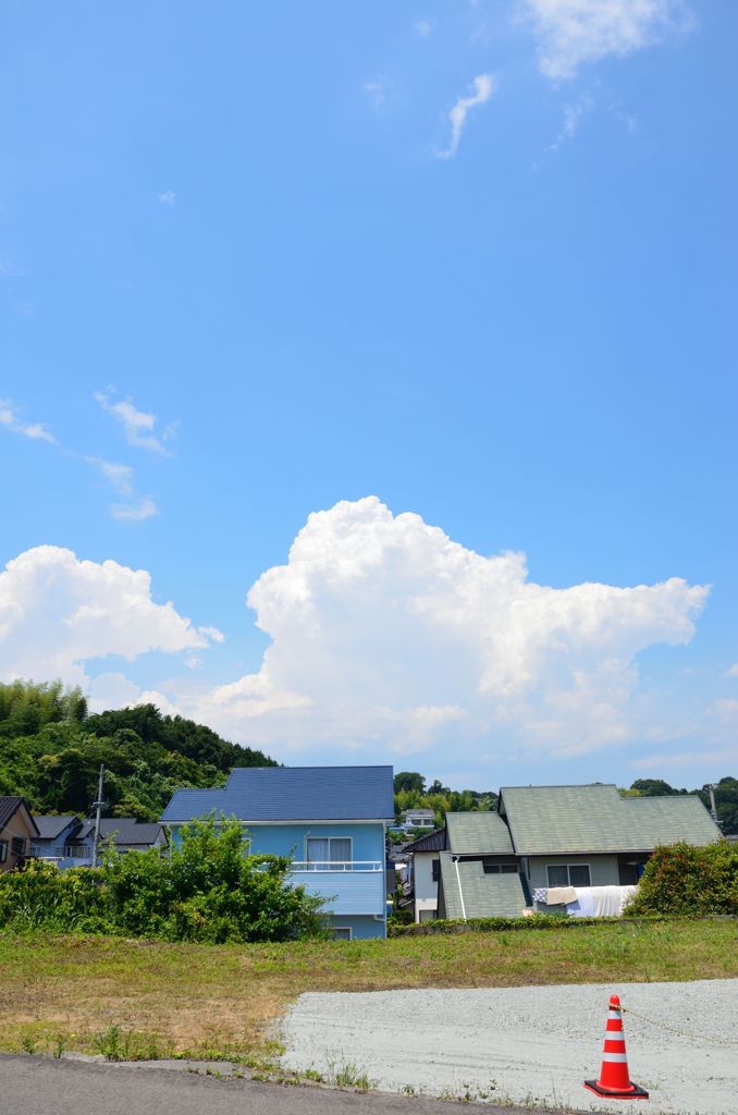 THE 夏　2011