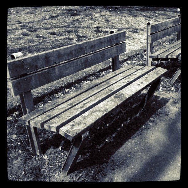 bench