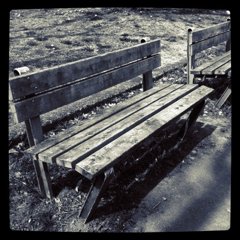 bench
