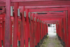 朱隧道