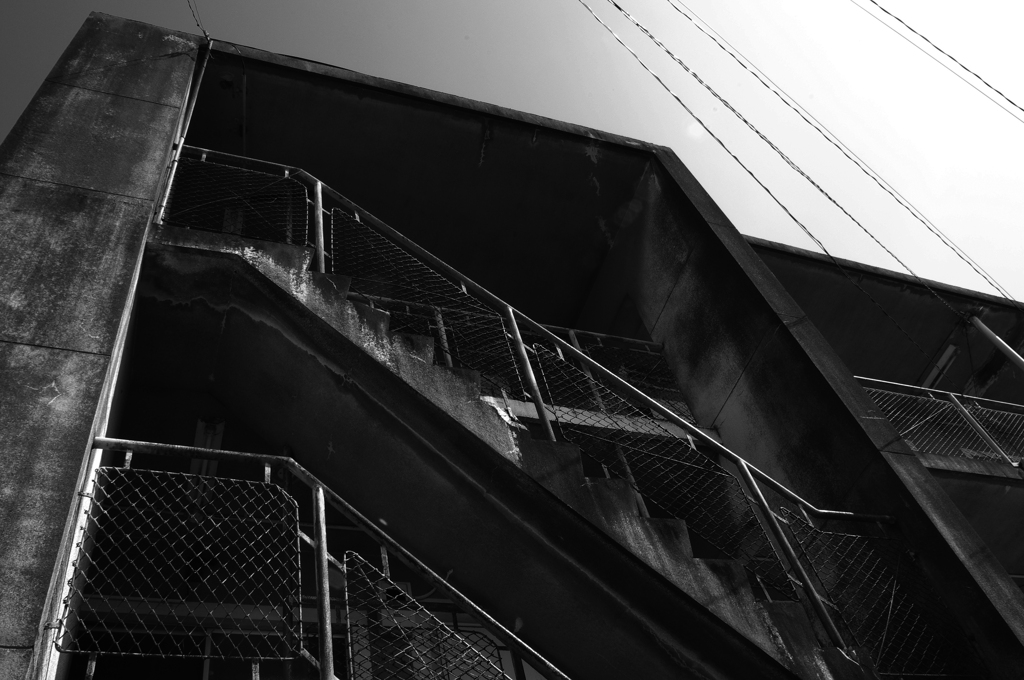 devastate　IMGP1249BW