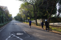 Walking Family