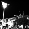 ＠SG Port