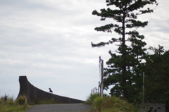 真先