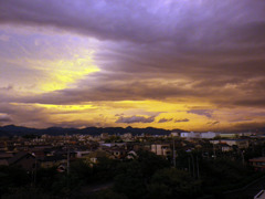 after  Typhoon Roke