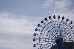 夏空の花 IMGP1246
