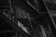 devastate　IMGP1250BW