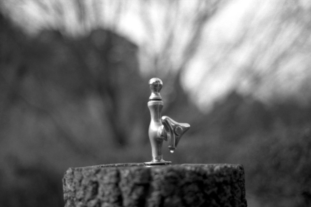 watering place