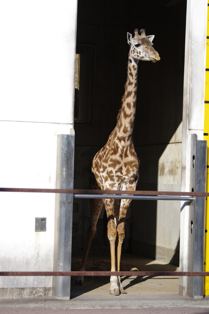 ハート IMGP0284