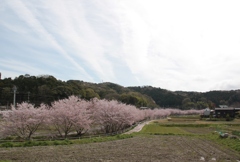 20120415奥山田