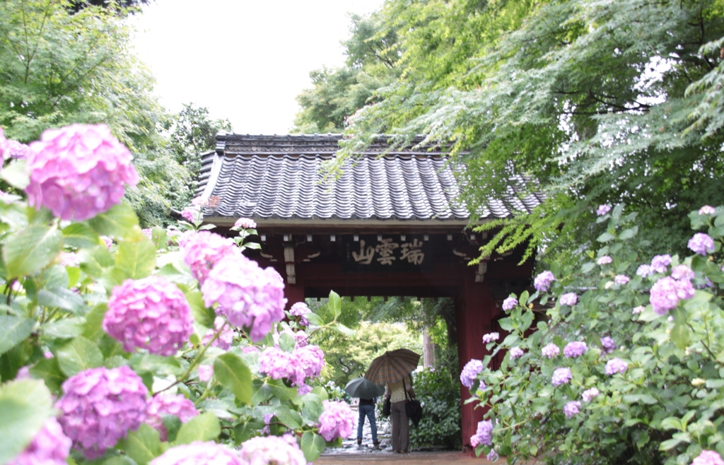 120616本光寺_C008p