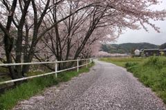 20120414奥山田