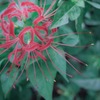 秋分の日の散歩 #02
