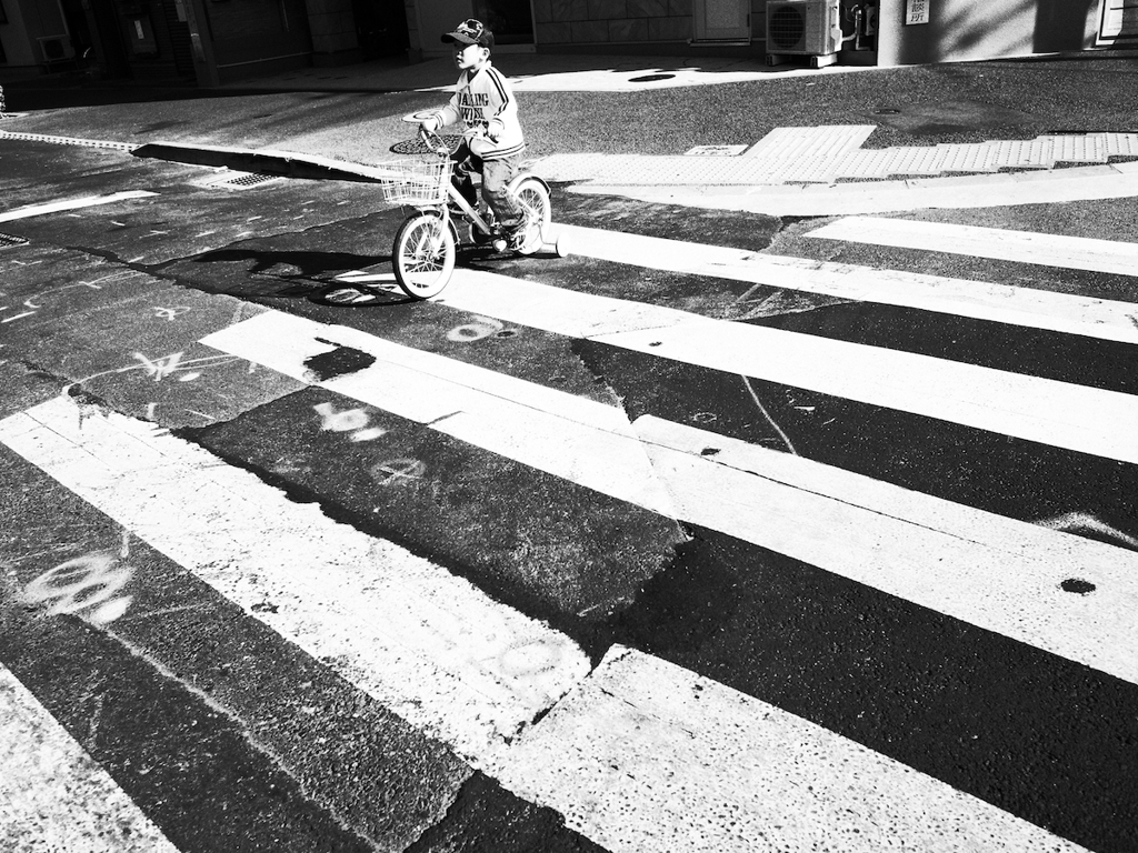 Zebra Crossing