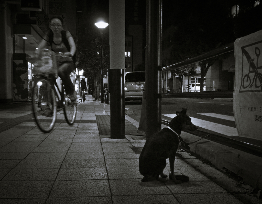 Kichijoji at Night #55