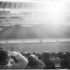 Light in the Stadium