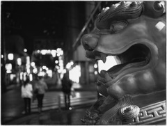 Chinatown at Night #20
