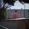 光 #02
