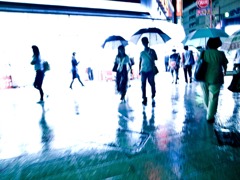 Shinjuku at Night #02 〜雨