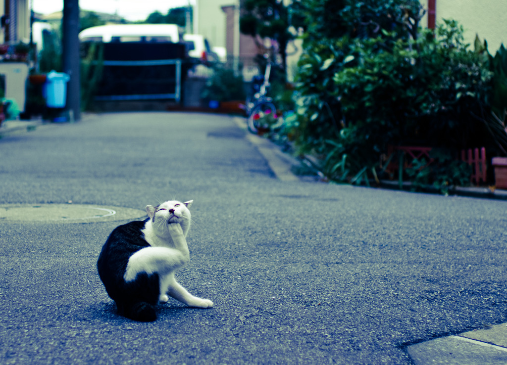 Scratchin' #02