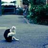 Scratchin' #02