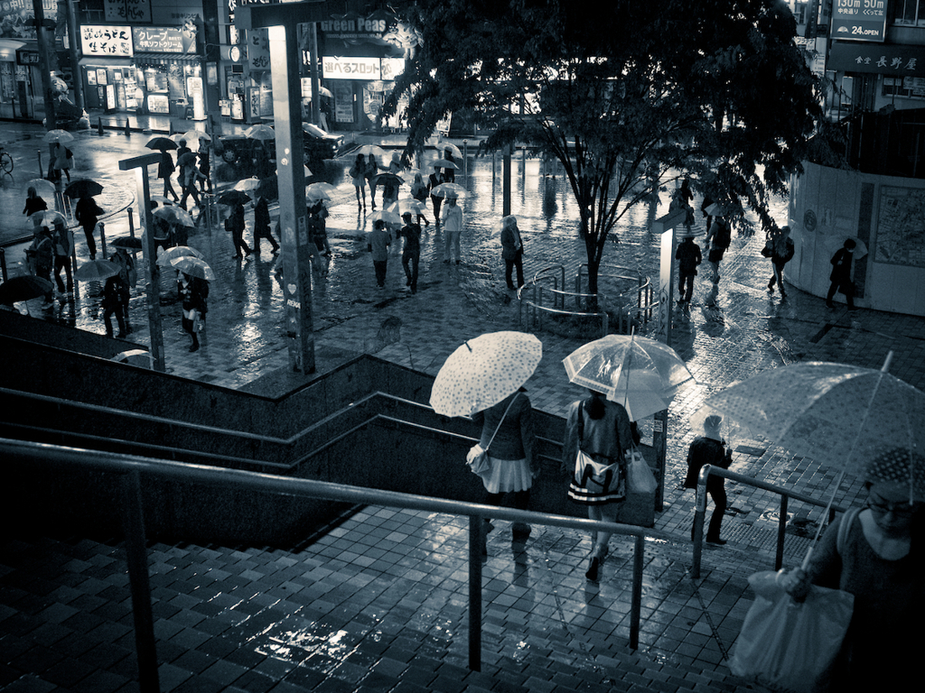 Shinjuku at Night #52