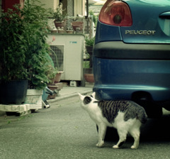 抜き足、猫足、忍び足...