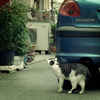 抜き足、猫足、忍び足...