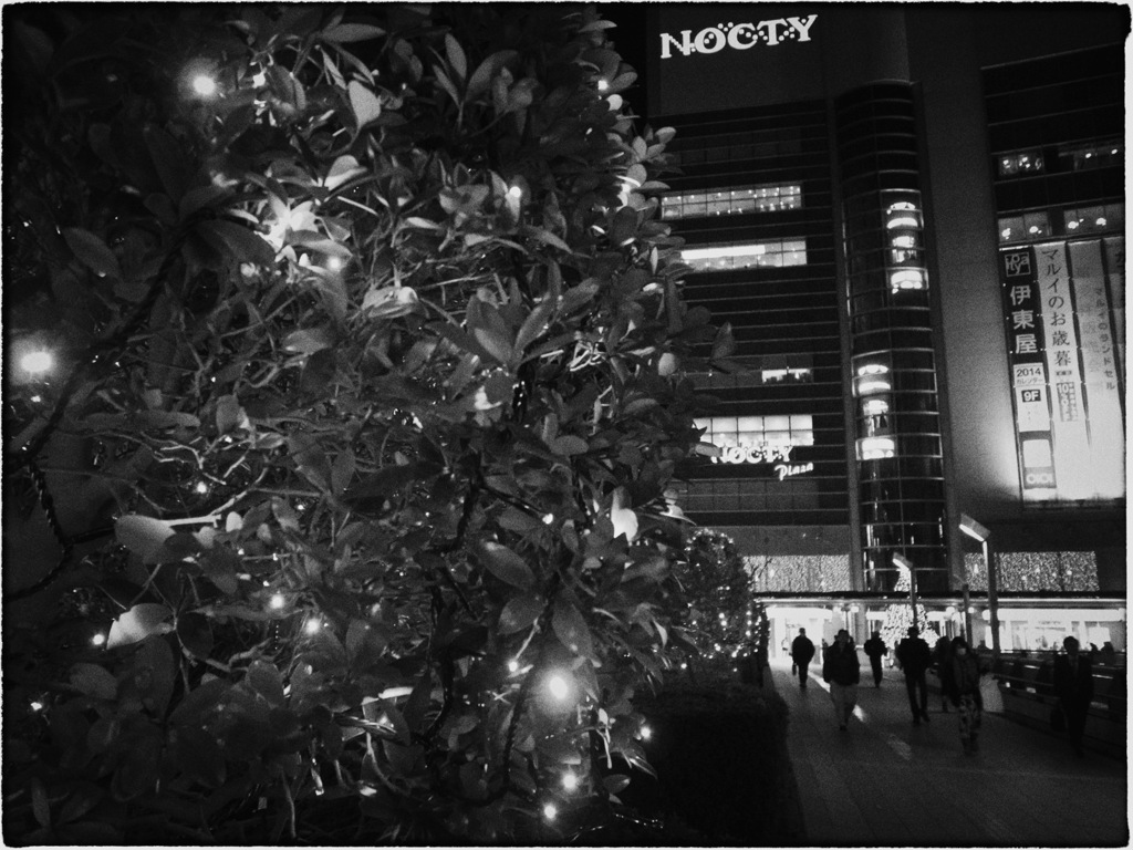 Mizonokuchi at Night #35
