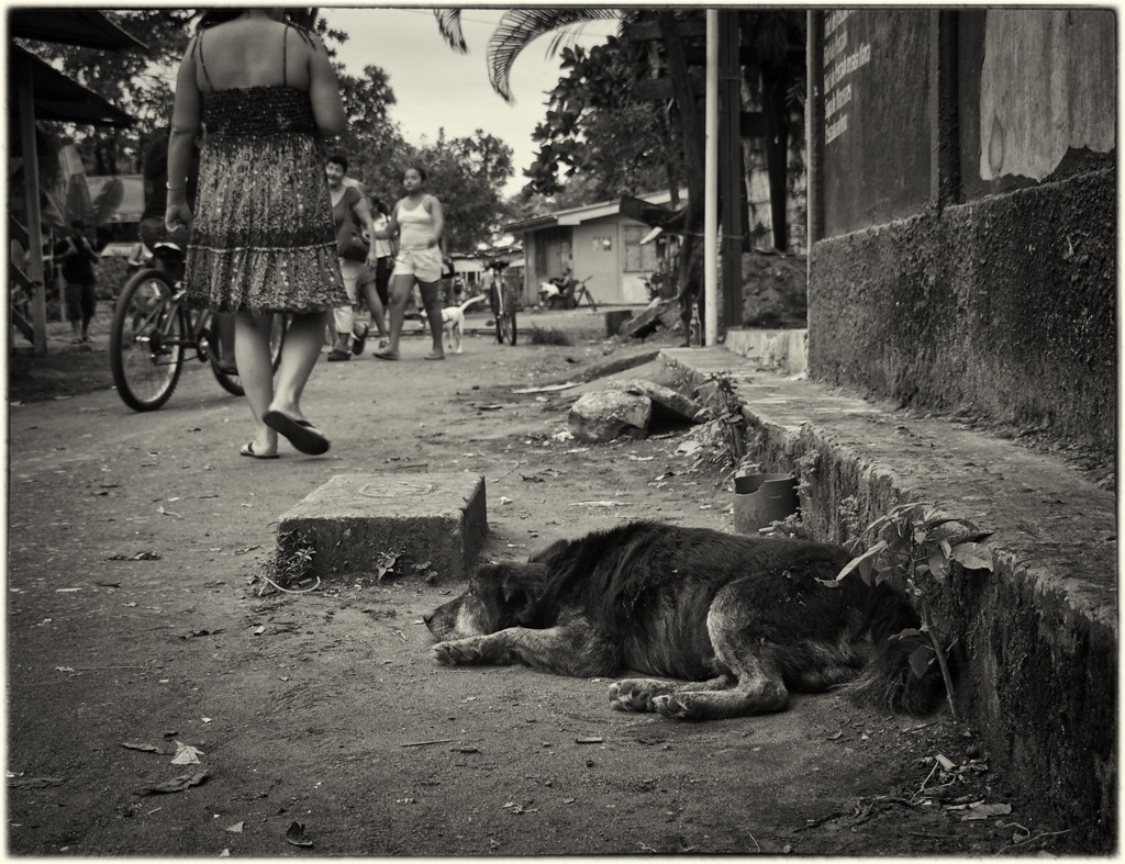 A Village #01