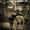 Shinjuku at Night #51