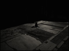 Black Cat