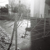 Winter Licht #03