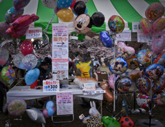 Balloons at Sakura Festival