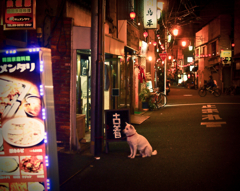 A Night Stroll in Asagaya #14