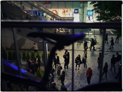 Shinjuku at Night #76